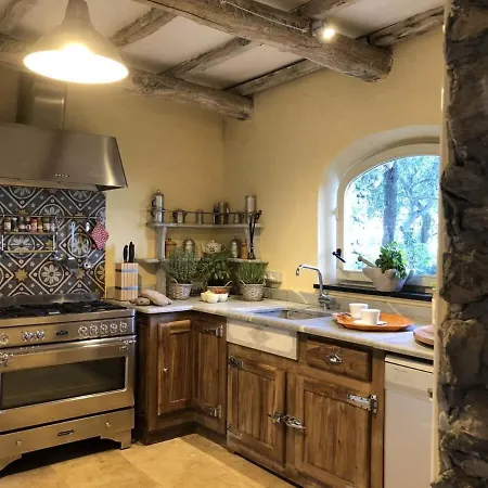 Delightful Country Surrounded By Olive Groves La Spezia