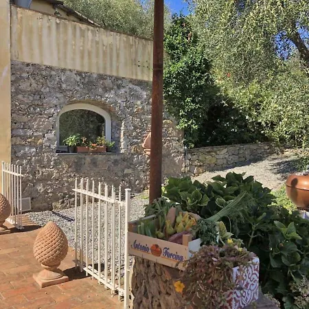 Delightful Country Surrounded By Olive Groves